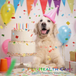Invitación 1er aniversario Pet Health Care !!!