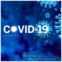 Cuide su salud y protege a los demás a través de las siguientes medidas: