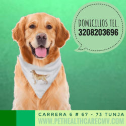 En estos días de cuarentena Pet Health Care te cuida !!!