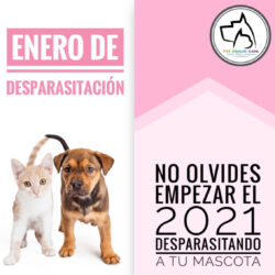 Enero de desparasitación 2021 !!!