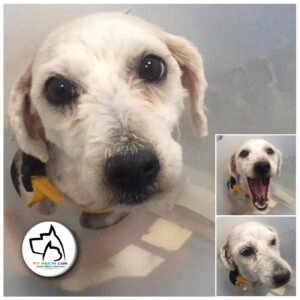 Moticas Transformation #2 !!! copy