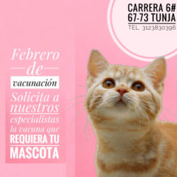 Febrero de vacunación 2021 !!!