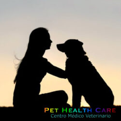 Día de la mujer 2021 !!!