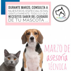 Marzo de asesoría técnica !!!