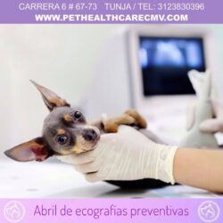 Abril ecografía preventiva !!!