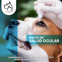Mayo de salud ocular canina y felina !!!