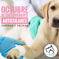 Octubre de enfermedades articulares (I) !!!