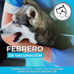 Febrero de vacunación !!!