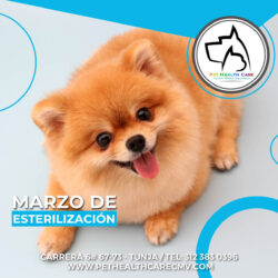 Marzo de esterilización 2022 !!!