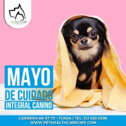 Mayo de cuidado integral canino !!!
