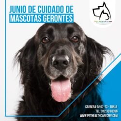 Cuidado de mascotas gerontes !!!