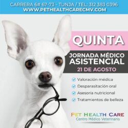 Quinta Jornada Médico Asistencial, Agosto 2022 !!!