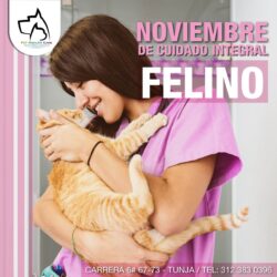 Noviembre de cuidado integral felino