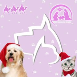 TARJETA NAVIDAD PHC 2022 !!!