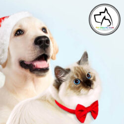 Tarjeta fin de año 2023 !!!