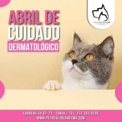 Abril de cuidado dermatológico !!!