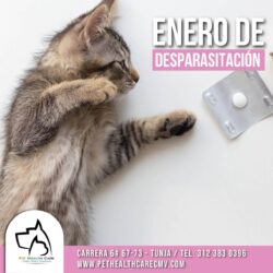 Enero de desparasitación !!!