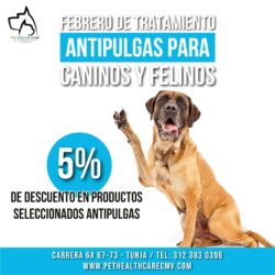Febrero de tratamiento antipulgas !!!