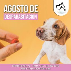AGOSTO DE DESPARASITACIÓN