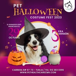 Pet Halloween Costume Fest 2023