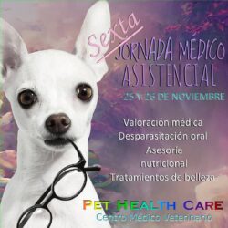 Sexta Jornada Médico Asistencial noviembre 2023 !!!