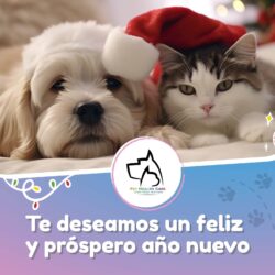 AÑO NUEVO 2024 !!!