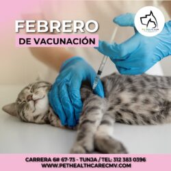 Febrero de Vacunación !!!