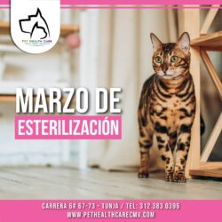 Marzo de Esterilización I 2024 !!!