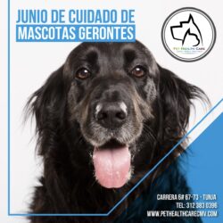 Junio de cuidado de mascotas gerontes !!!