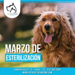 Marzo de esterilización !!!